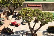 IMG_5587 