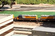 IMG_5601 