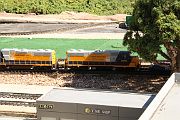 IMG_5602 