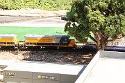 IMG_5603 