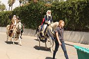IMG_0814 