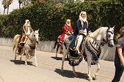 IMG_0815 