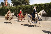 IMG_0819 