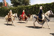 IMG_0820 