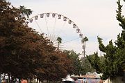 IMG_2856 