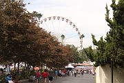 IMG_2858 