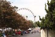 IMG_2859 
