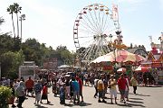 IMG_4285 