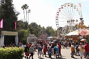IMG_4287 