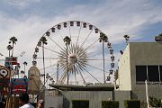 IMG_4289 
