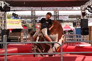 IMG_4294 