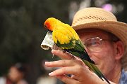 IMG_5581 