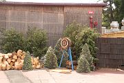 IMG_0197 
