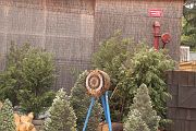 IMG_0243 