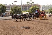 IMG_0840 