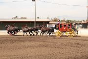 IMG_0869 