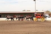 IMG_0870 