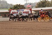 IMG_0873 
