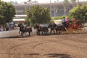 IMG_0875 