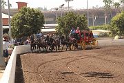 IMG_0876 