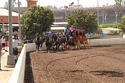 IMG_0877 