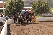 IMG_0878 