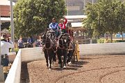 IMG_0880 