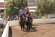 IMG_0881 