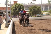 IMG_0883 