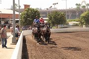IMG_0884 