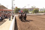 IMG_0887 