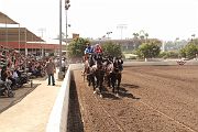 IMG_0888 