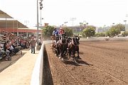 IMG_0889 