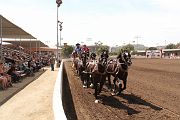 IMG_0892 