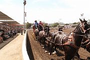 IMG_0894 