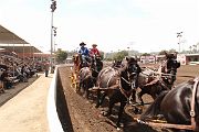 IMG_0895 