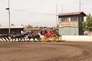 IMG_0902 