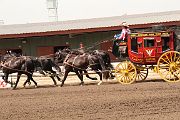 IMG_0906 