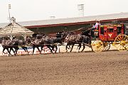 IMG_0907 