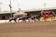 IMG_0908 