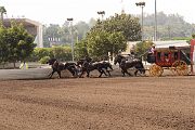 IMG_0912 