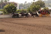 IMG_0913 