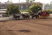 IMG_0914 