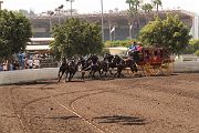 IMG_0915 