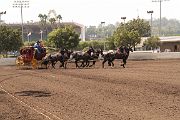 IMG_0918 