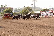 IMG_0919 