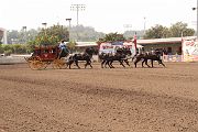 IMG_0920 