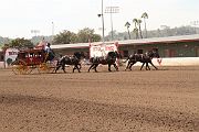 IMG_0921 