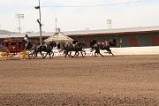 IMG_0924 