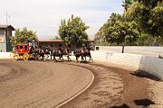 IMG_0930 